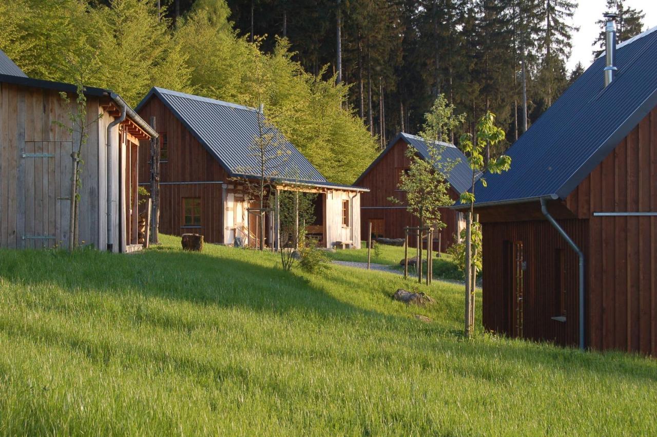Bergdorf Liebesgruen Hotel Шмаленберг Екстериор снимка